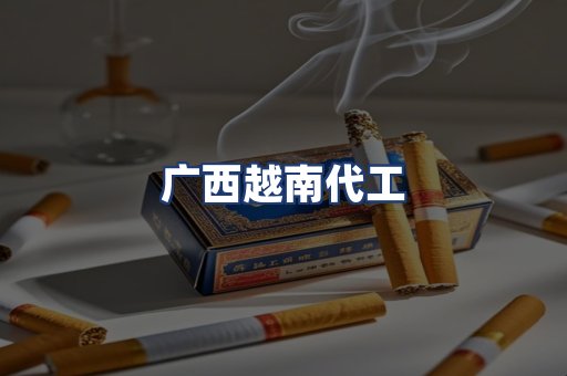 广西越南代工